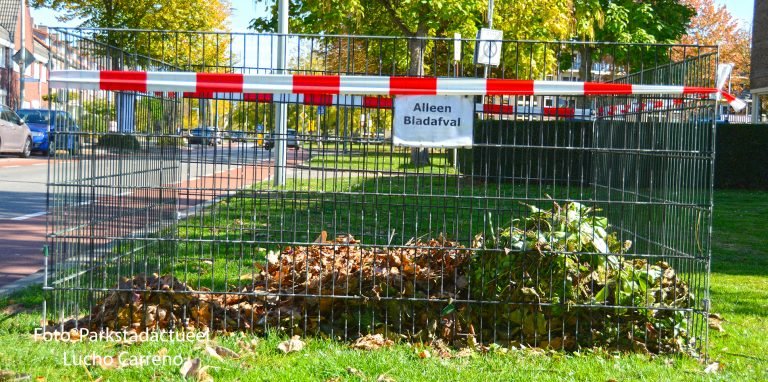 bladafval foto Parkstadactueel 5-10-2018