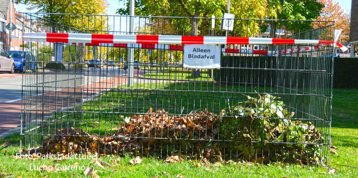 bladafval foto Parkstadactueel 5-10-2018