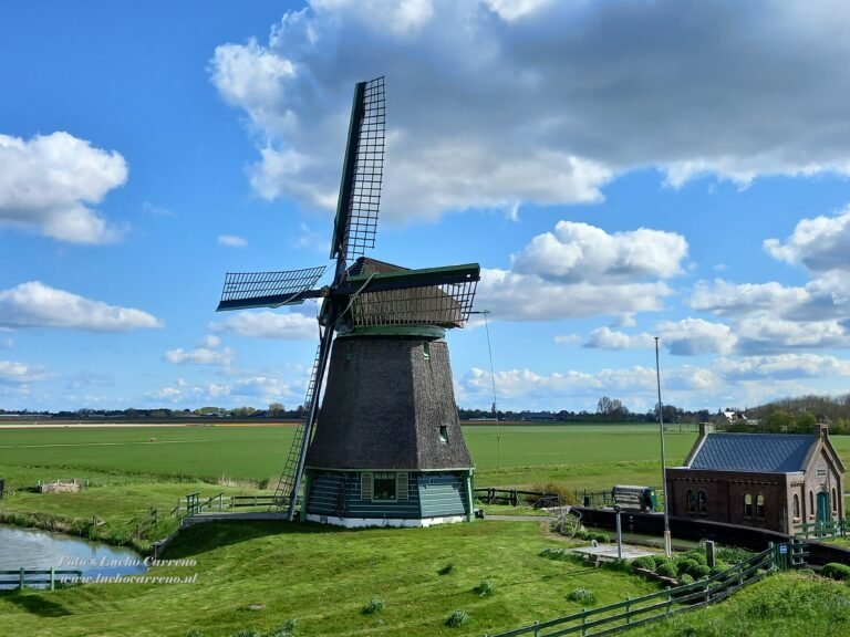MolenImage00003