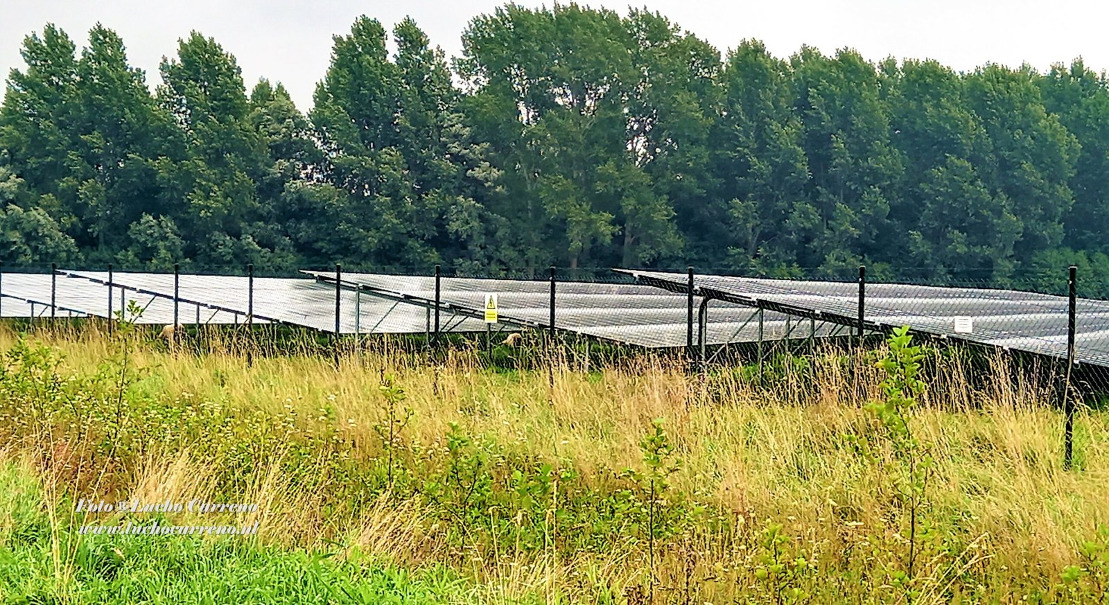 In gesprek over zonne-energie in Landgraaf