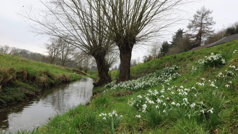 De Eyserbeek loopt als een rode draad door de wandeling (foto Herman Langen IVN Kerkrade)