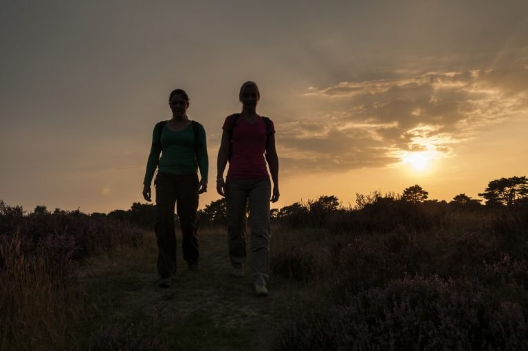 Lange Duinen