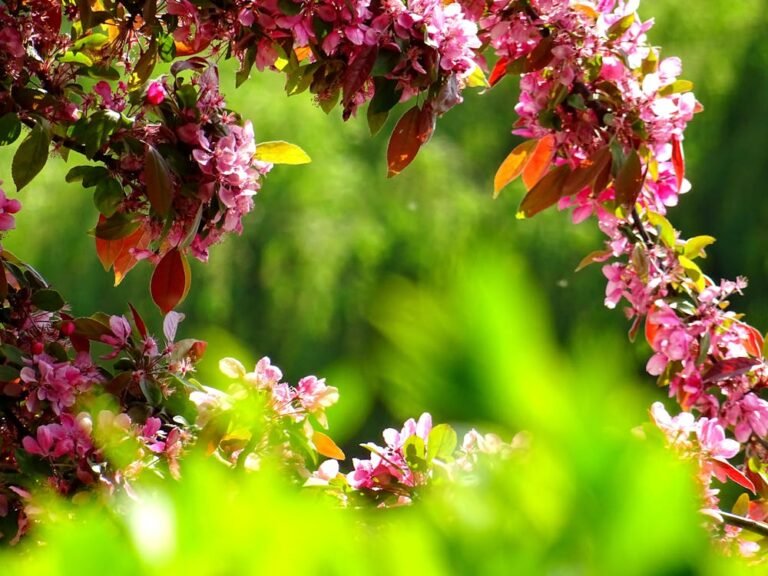 Tuininspiratie