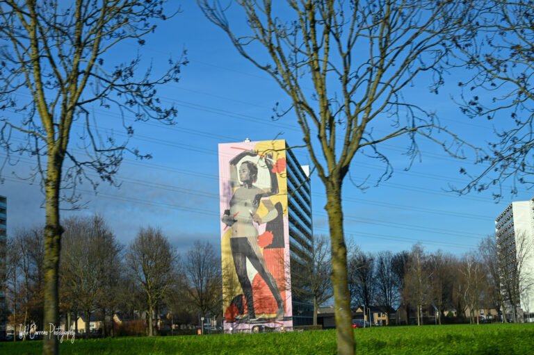 DSC_7278 kopie