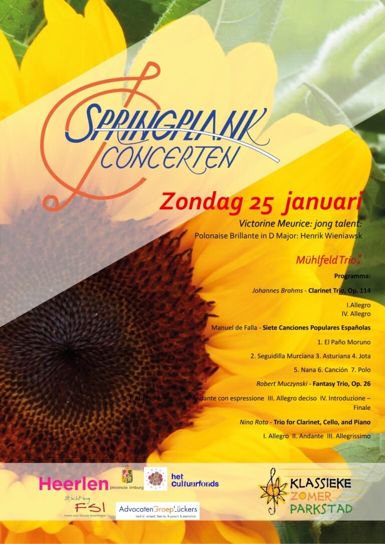 Programmaflyer voozijde concert 25 januari 2026 A5 800x-1
