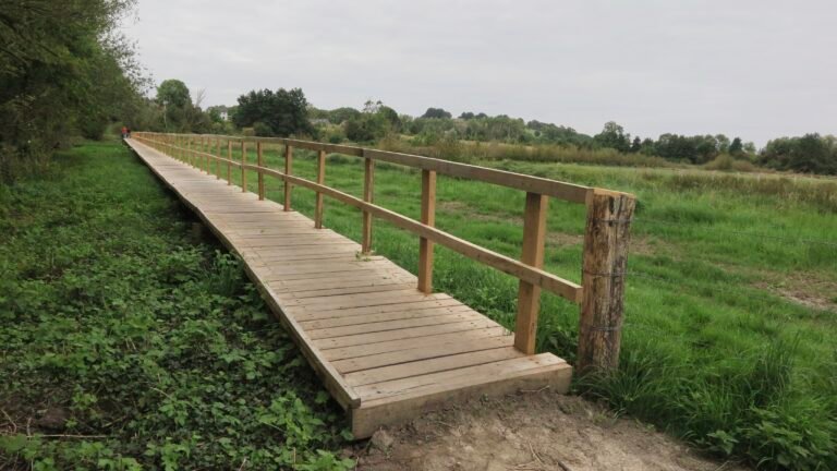 Wandeling door het Eyserbeekdal bij Eys en Cartils met kalkmoeras en natuurgebied