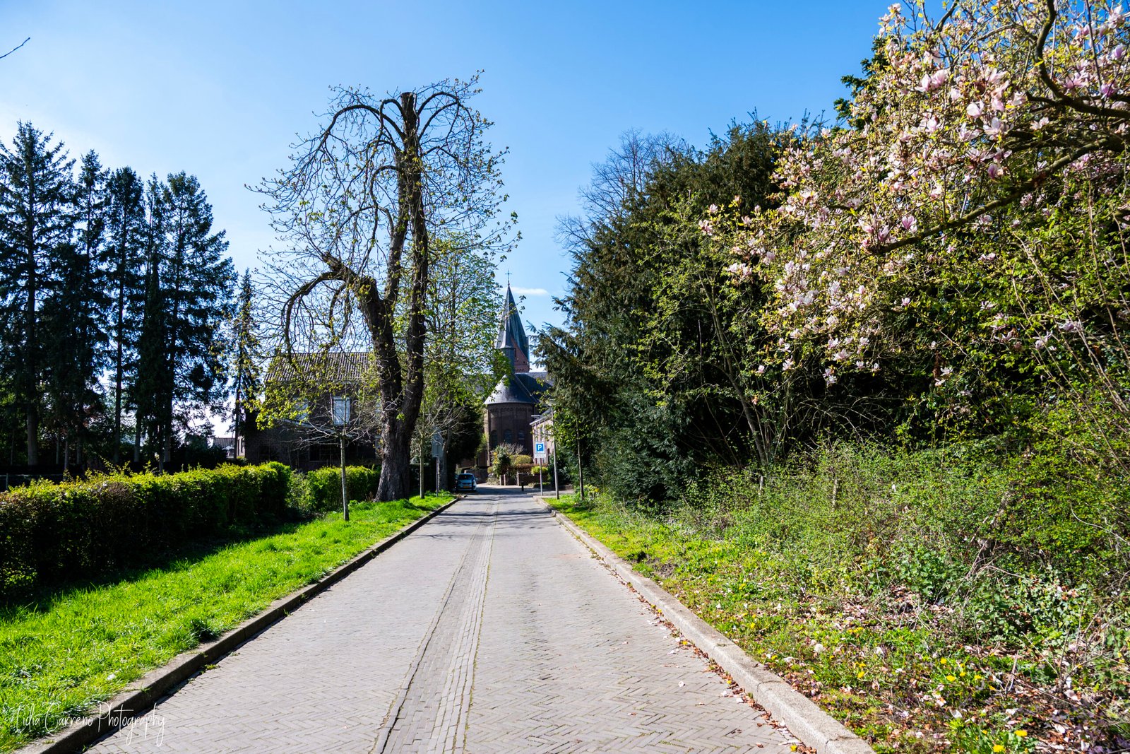 Breakthrough in Heerlen formation: choice for D66, coalition talks ...
