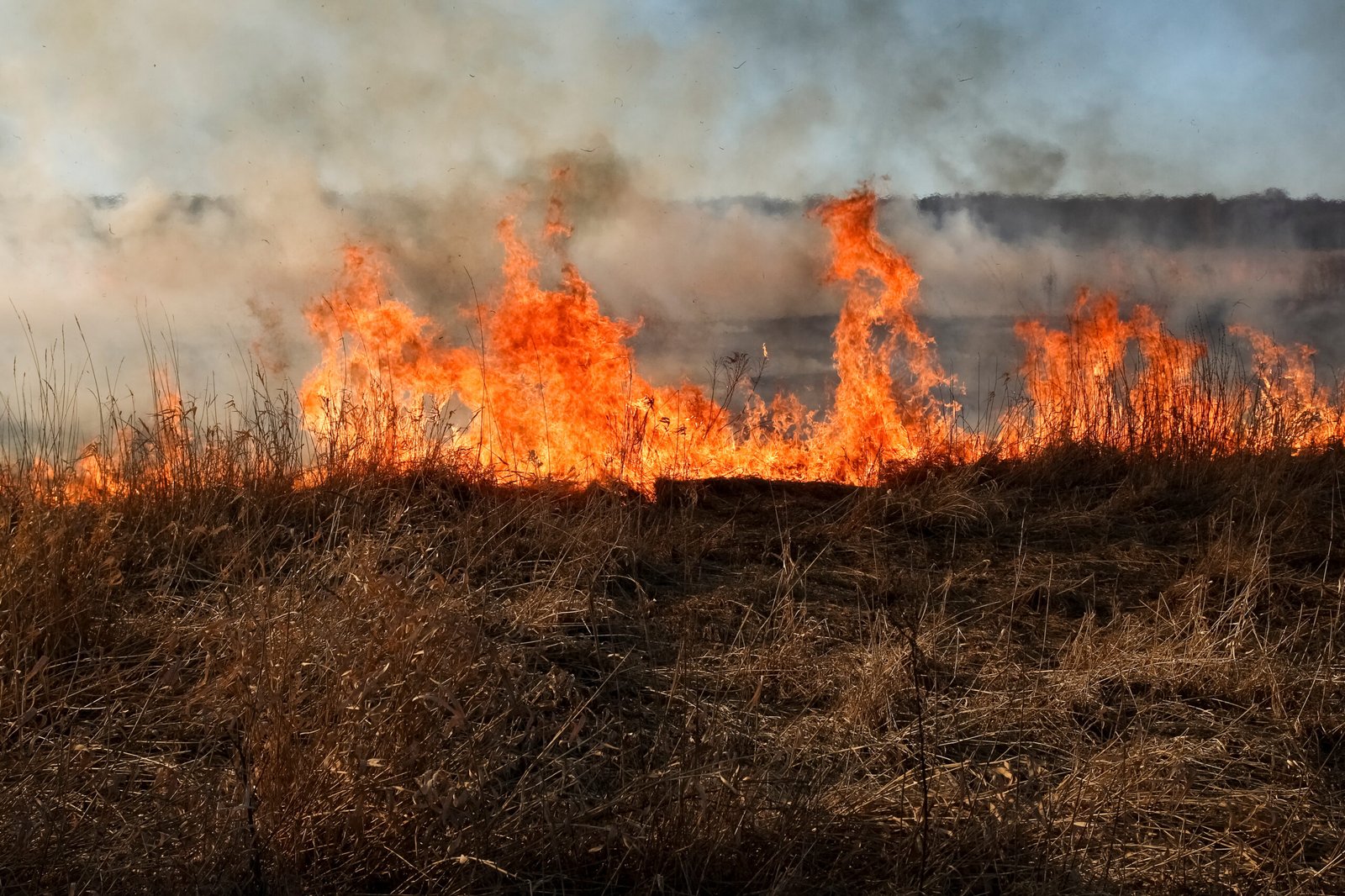 Brand op Brunssummerheide onder controle