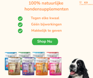 Bekijk supplementen voor honden bij Hondensupplement